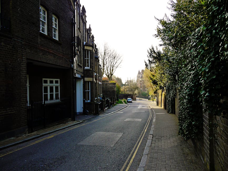 A narrow residential street in Hampstead during daytime, featuring a row of dark brick terraced houses on the left with white-framed windows and small front yards enclosed by black metal railings. The pavement on the right is paved with rectangular concrete slabs and is lined with tall, dense evergreen hedges and trees, some with bare branches. The asphalt road has minimal markings and gently curves to the right, with a parked white car visible in the distance. The lighting is natural, with bright sunlight casting shadows on parts of the street and highlighting the textures of the brickwork and foliage. The scene depicts an urban environment that could be used for private waste collections or rubbish removal.