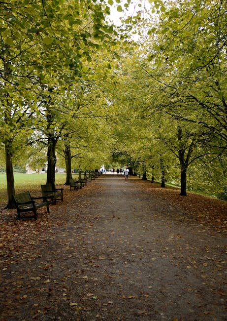 A wide, tree-lined pathway in a park during daytime, with a canopy of green leaves overhead and fallen leaves scattered across the dirt and gravel surface. The pathway is bordered by evenly spaced wooden benches on both sides, with some benches facing the path and others angled towards the grassy areas. In the background, a few people are walking along the path, some in pairs and others alone, with the trees continuing into the distance and a bright, overcast sky visible through the foliage. The scene has a calm, natural atmosphere typical of an urban park setting, with natural light filtering through the leaves. This image, associated with waste removal services like Waste Removal Hampstead, subtly reflects the importance of maintaining clean outdoor spaces and the potential need for private waste handling and collection services to keep such areas tidy and free from debris, especially when communal or public disposal options are limited or inaccessible.
