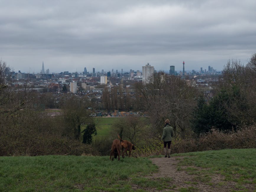 A person walking with two small brown dogs along a narrow dirt path in a grassy park area, with leafless bushes and trees on either side. The background features a cityscape of London with numerous high-rise buildings and landmarks, under a cloudy, overcast sky. The scene showcases a natural setting adjacent to urban development, illustrating an environment where private outdoor activities such as walking pets are carried out near the city. The image emphasizes the contrast between the greenery of the park and the dense, modern skyline beyond, aligning with themes of alternative waste handling and outdoor recreational spaces near metropolitan areas, which Waste Removal Hampstead may support through logistics for outdoor or residential rubbish management.